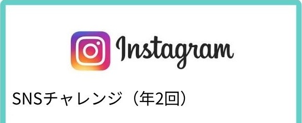 SNSチャレンジ（年2回）